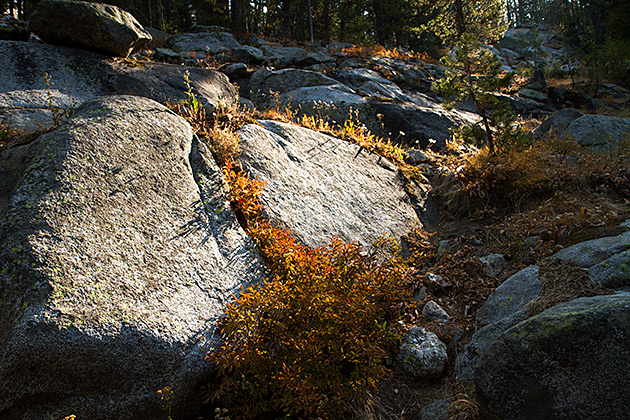 Bush Boulder