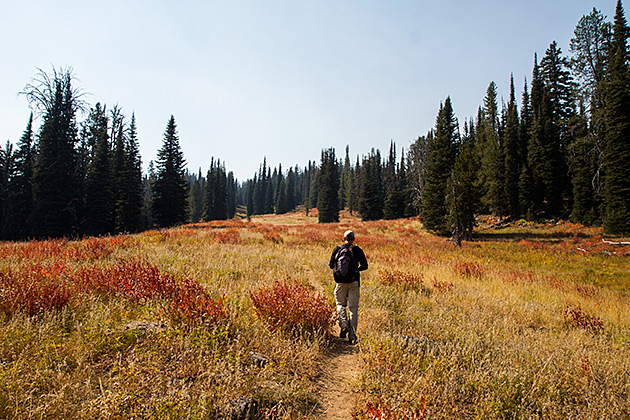Fall In Idaho