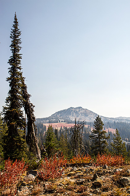 Idaho Landscape
