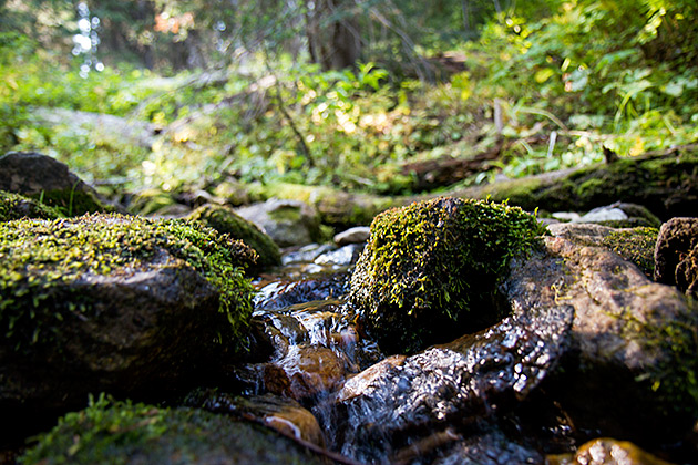 Little Idaho Creek