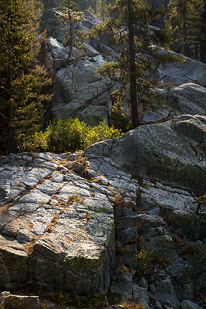 Rough Landscape