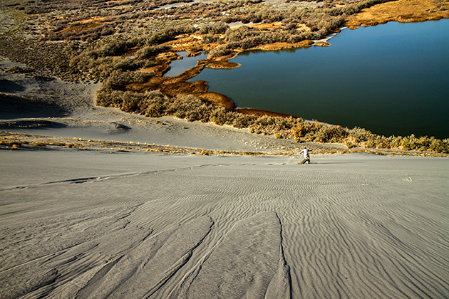 Dizzy Dunes