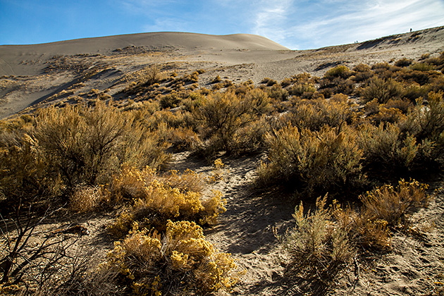 Sandscapes