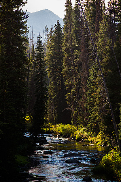 Burgdorf Hot Springs 25 Idaho Fall