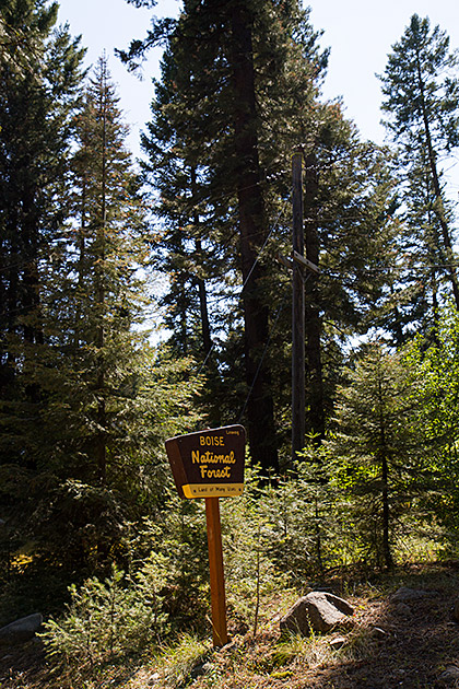 Boise National Forrest