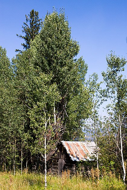 Hidden Hut