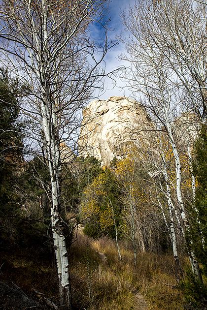 Nature Blog