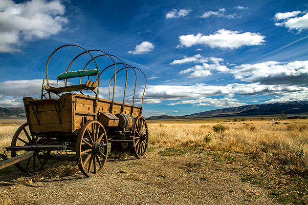 Sattler Wagon