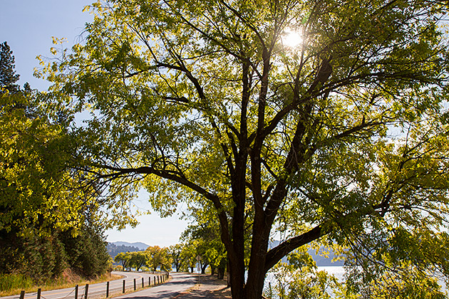 Fall In Coeur D Alene