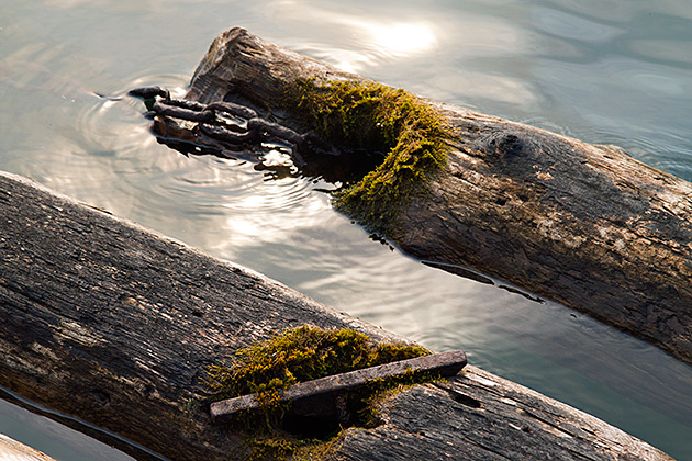 Floating Logs