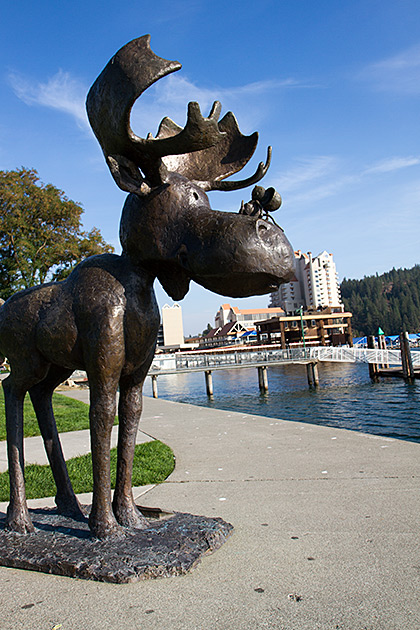 Oh, To Be Rich in Coeur d'Alene 7 Cute Little Moose