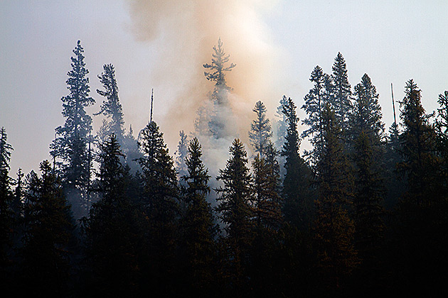 Colgate Licks 1 Colgate Lick Fire 2012