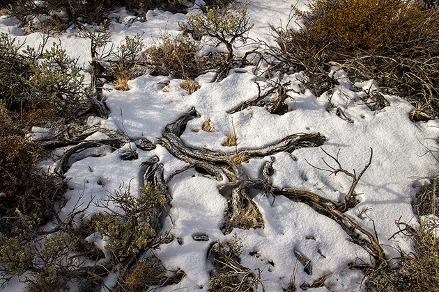 Craters of the Moon 5 Snow Art