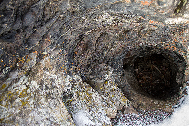 Craters of the Moon 11 Tree Hole