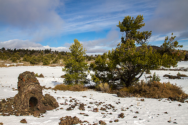 Craters of the Moon 9 Tree Lava Molds