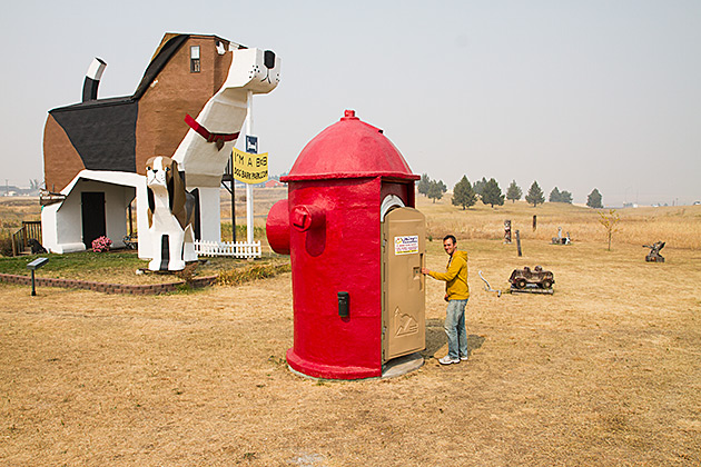 Doggy Toilet