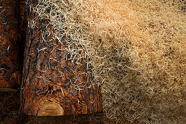 Working Wood