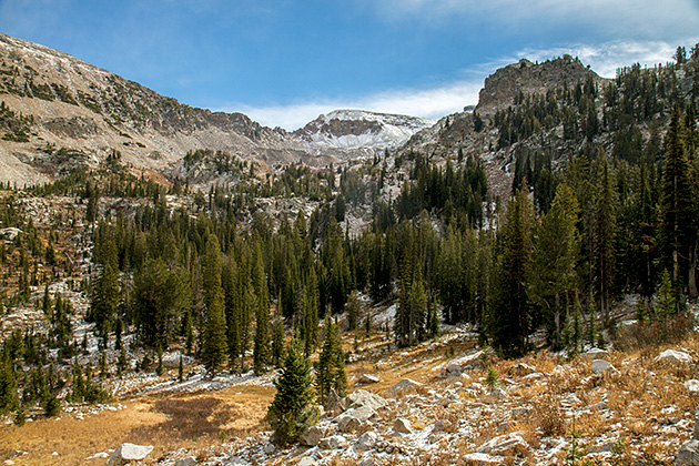Table Mountain... and Crime in the Tetons 20 Forrest And Snow