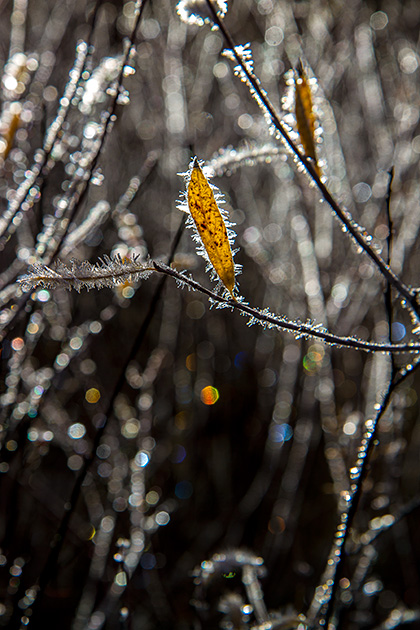 Table Mountain... and Crime in the Tetons 4 Frosty Morning