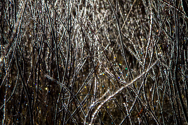 Table Mountain... and Crime in the Tetons 5 Frosty USA