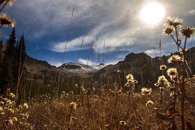 Table Mountain... and Crime in the Tetons 19 Nature Idaho