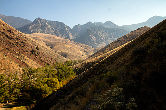 Goldbug Hot Springs 4 Goldbug Canyon