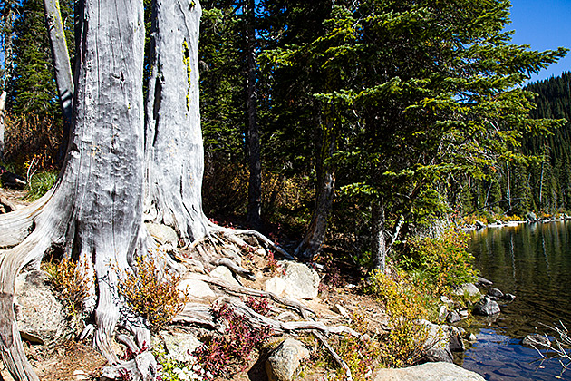 Grizzly Patrol Hikes to Hidden Lake 9 Amazing Idaho