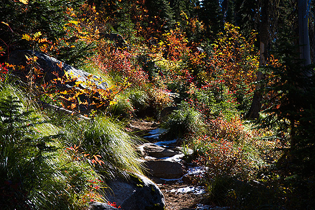 Grizzly Patrol Hikes to Hidden Lake 12 Fall Hike Idaho