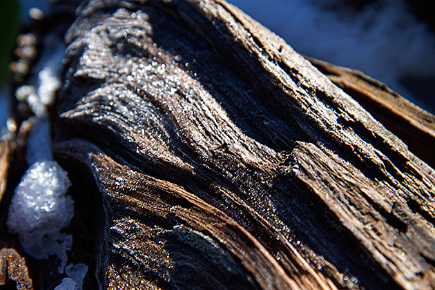 Grizzly Patrol Hikes to Hidden Lake 6 Frosty Morning
