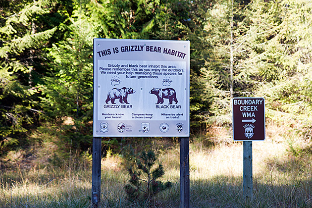 Grizzly Patrol Hikes to Hidden Lake 3 Grizzly Bear Habitat