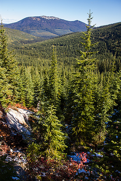 Grizzly Patrol Hikes to Hidden Lake 19 Idaho Forest
