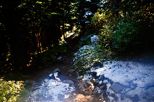 Grizzly Patrol Hikes to Hidden Lake 7 Idaho Secrets