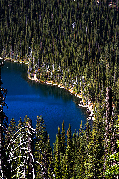 Grizzly Patrol Hikes to Hidden Lake 22 Secret Lake Idaho