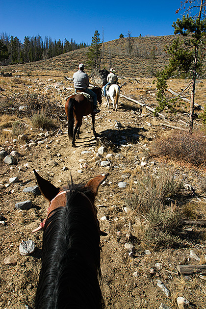 Horseback Riding Idaho