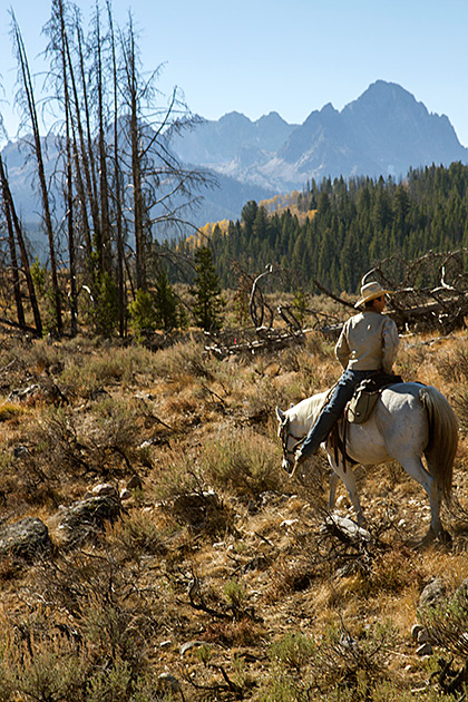 Idaho Cowboy