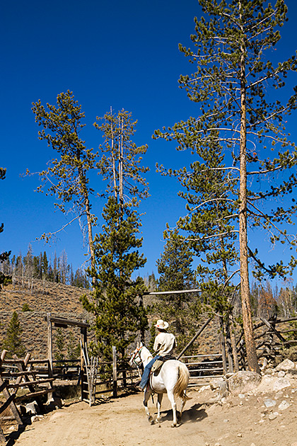 Lets Go Riding Idaho