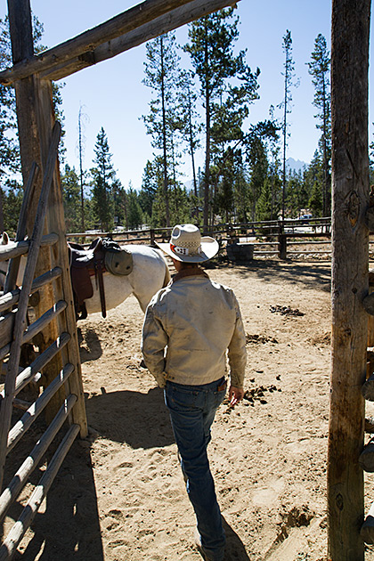 Real Idaho Cowboy