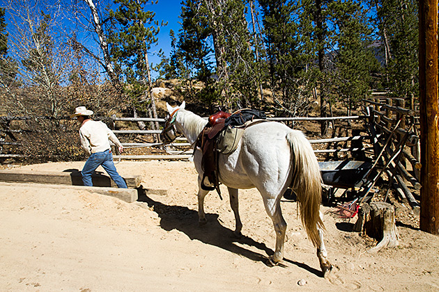 Riding Horses Idaho