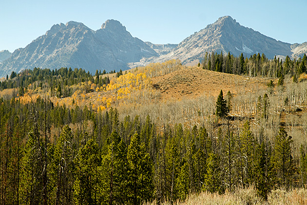Sawtooth Idaho