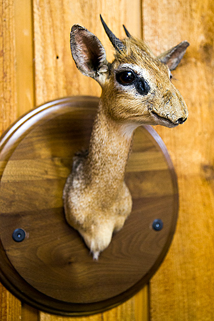 The Jack O'Connor Hunting Heritage Center 10 Fink