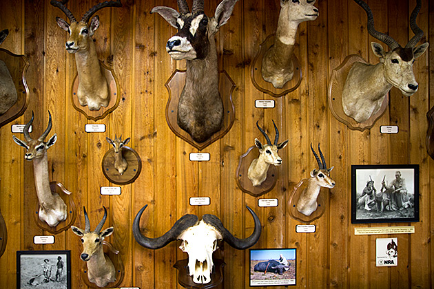 The Jack O'Connor Hunting Heritage Center 9 Hunting Museum Lewiston