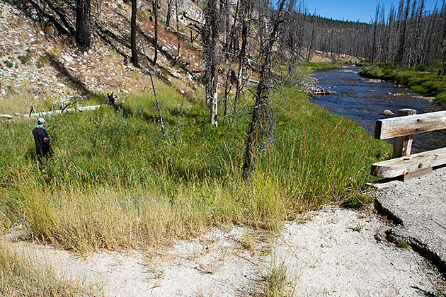 Hot Spring Hike