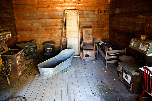The Gold-Rush Town of Idaho City 16 Pest in Idaho