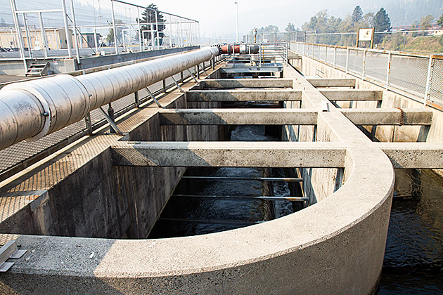 Salmon Hatchery Idaho