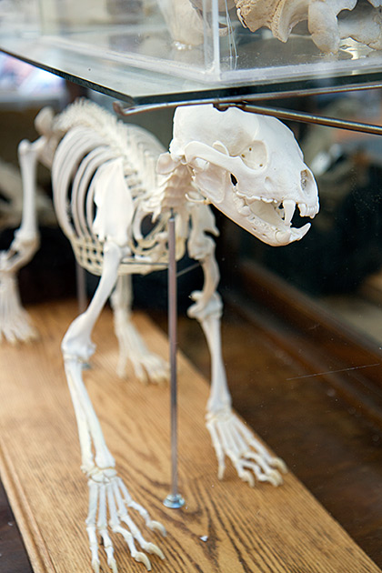 Conversational Coffee Table Piece