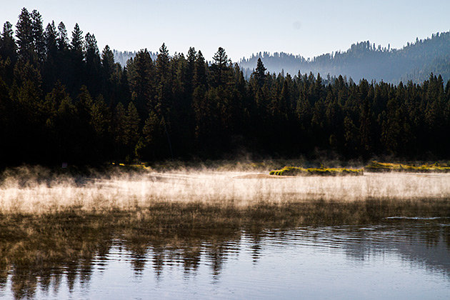 Morning Mist