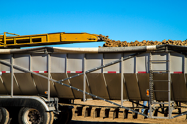 Potato Truck