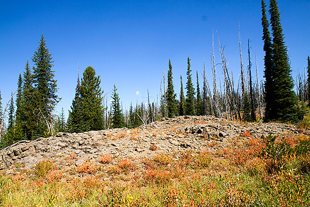 Idaho Lava Field