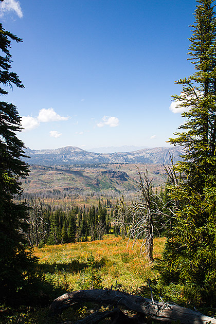 Idaho Medow