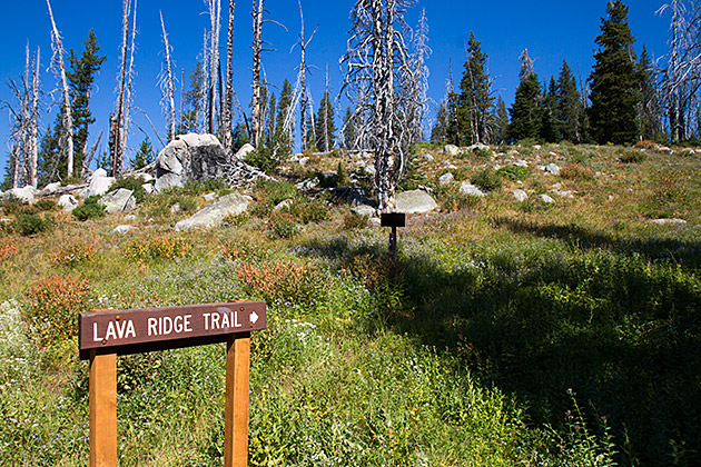 Lava Ridge Trail